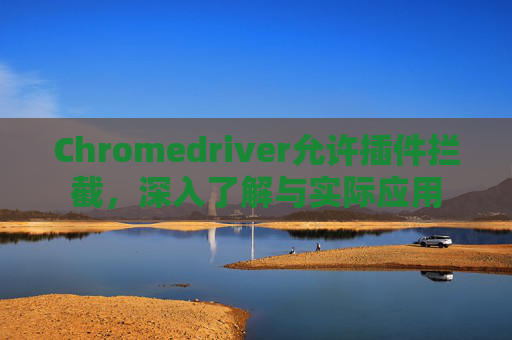 Chromedriver允许插件拦截，深入了解与实际应用